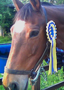 Jemma with her rosette