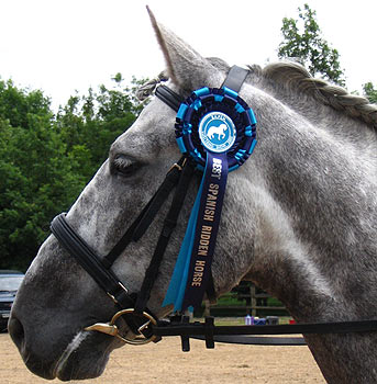 Nadia with his rosette